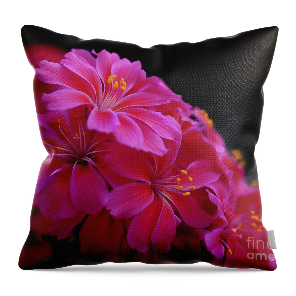 Pink Throw Pillow featuring the photograph Pink Floral by Elaine Manley