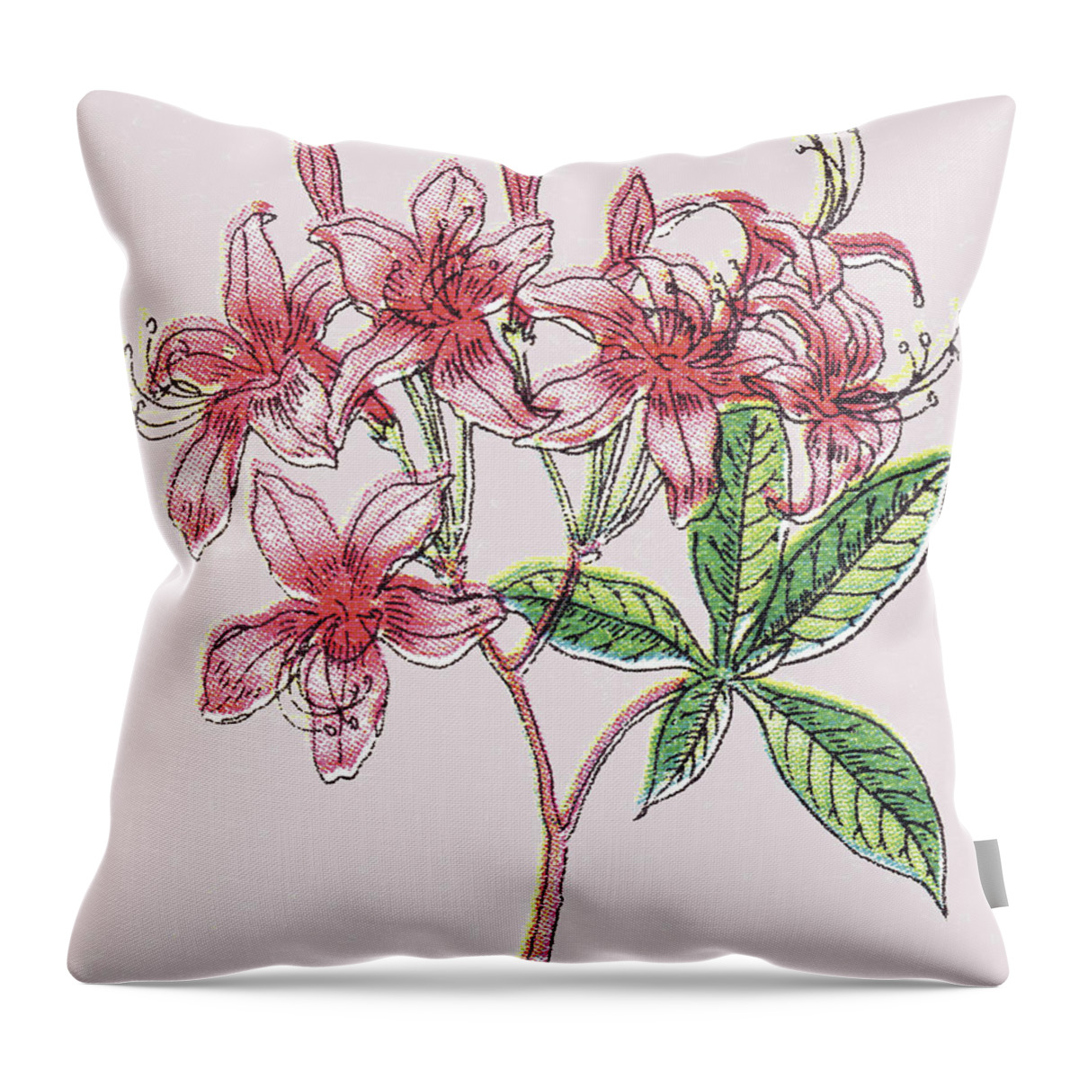 Bloom Throw Pillow featuring the drawing Pink Flowers by CSA Images