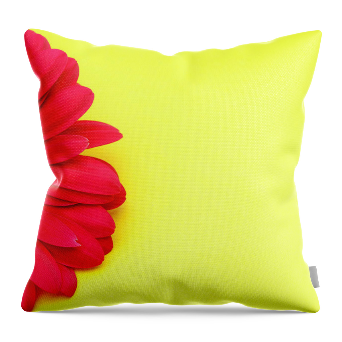 Petal Throw Pillow featuring the photograph Pink Gerbera Daisy On Yellow Background by Jill Fromer