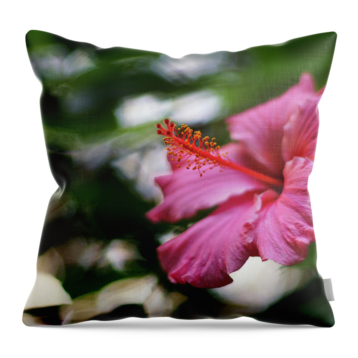 Beautiful Throw Pillow featuring the photograph Pink Hibiscus Flower by Pablo Avanzini
