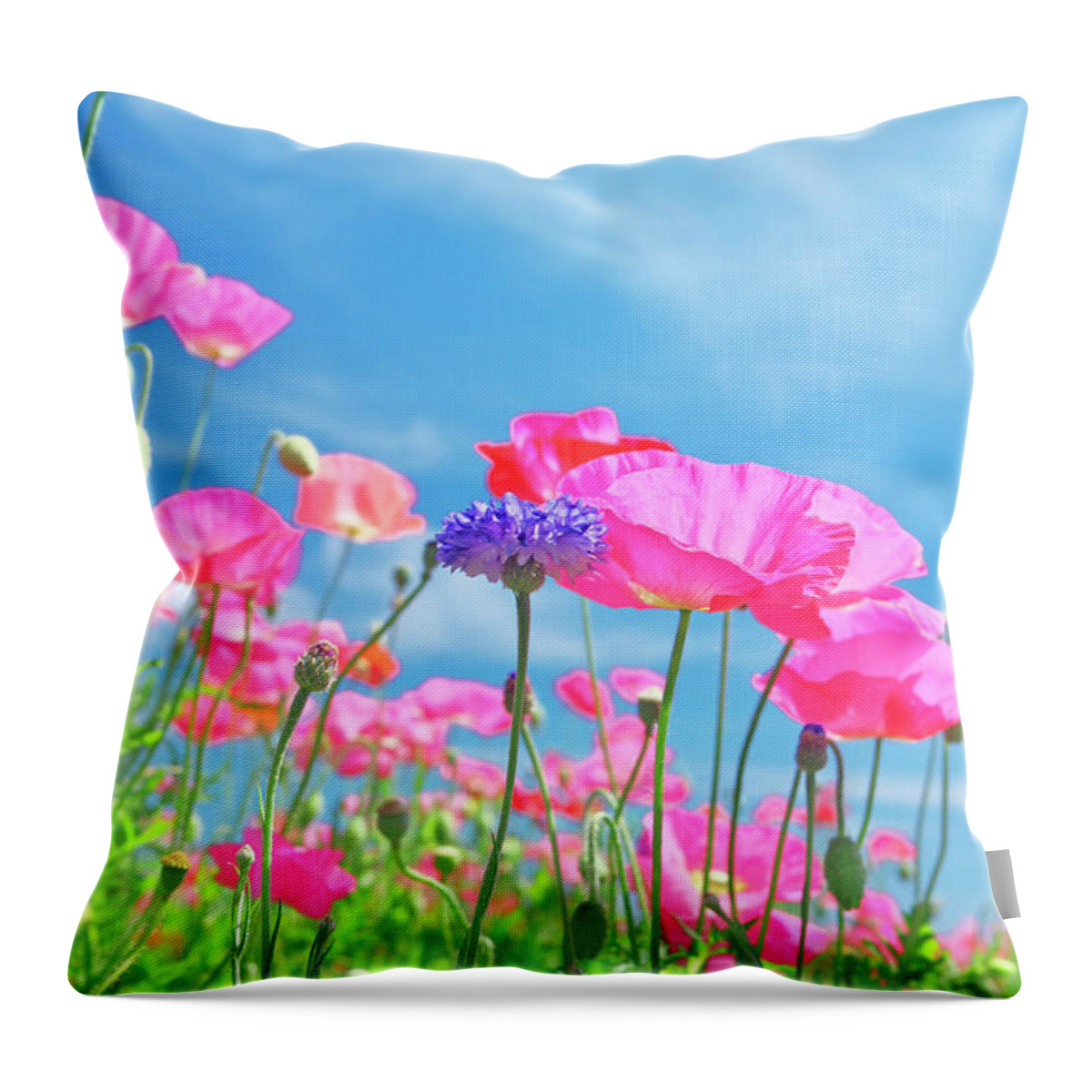 Outdoors Throw Pillow featuring the photograph Pink Poppies And Blue Sky by Iplan/a.collectionrf
