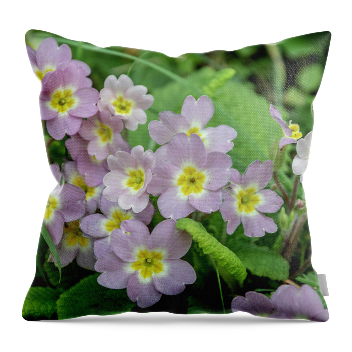 Primrose Throw Pillow featuring the photograph Pink Primroses in Devon by Mark Hunter