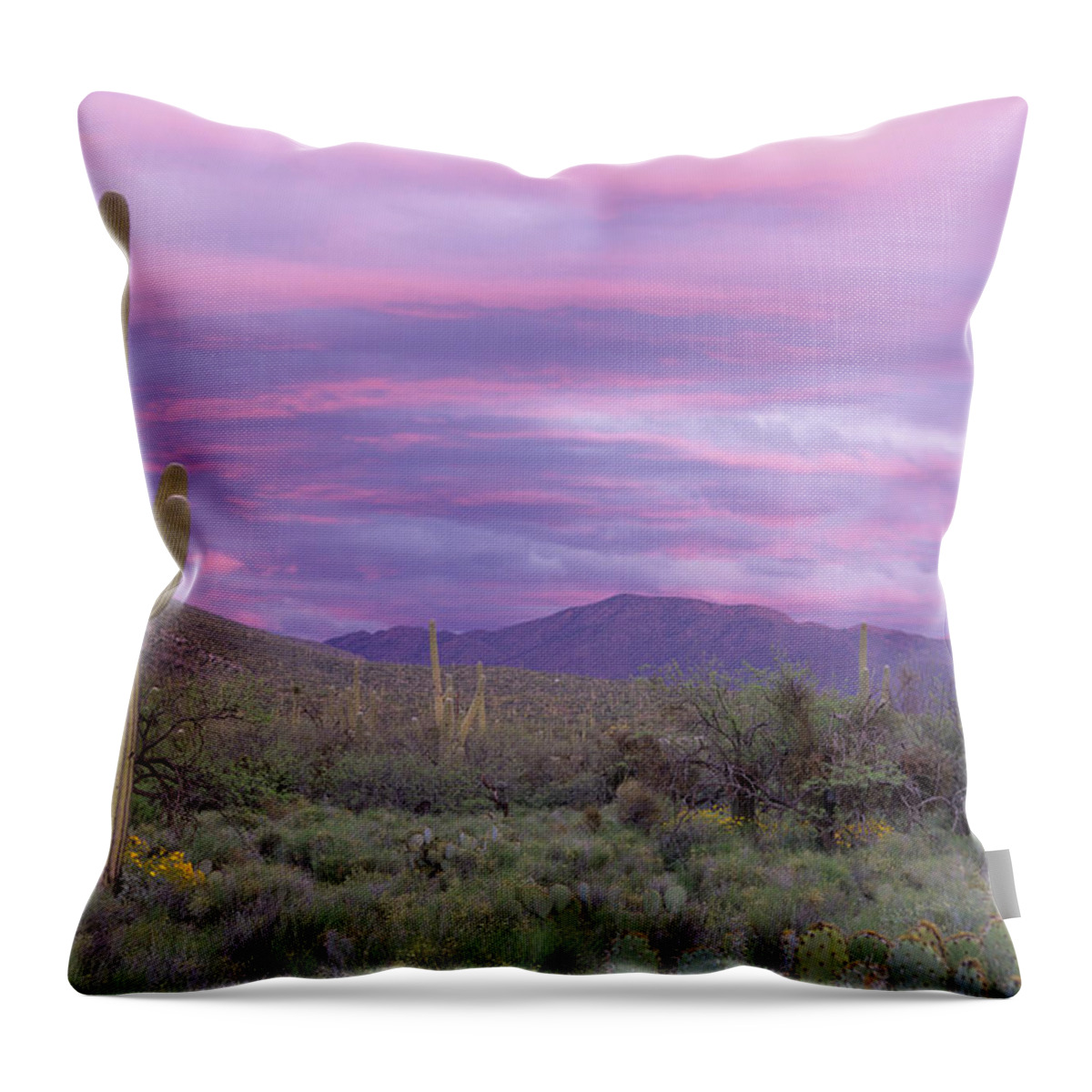 Saguaro Cactus Throw Pillow featuring the photograph Pink Sky At Sabino Canyon by Cay-uwe