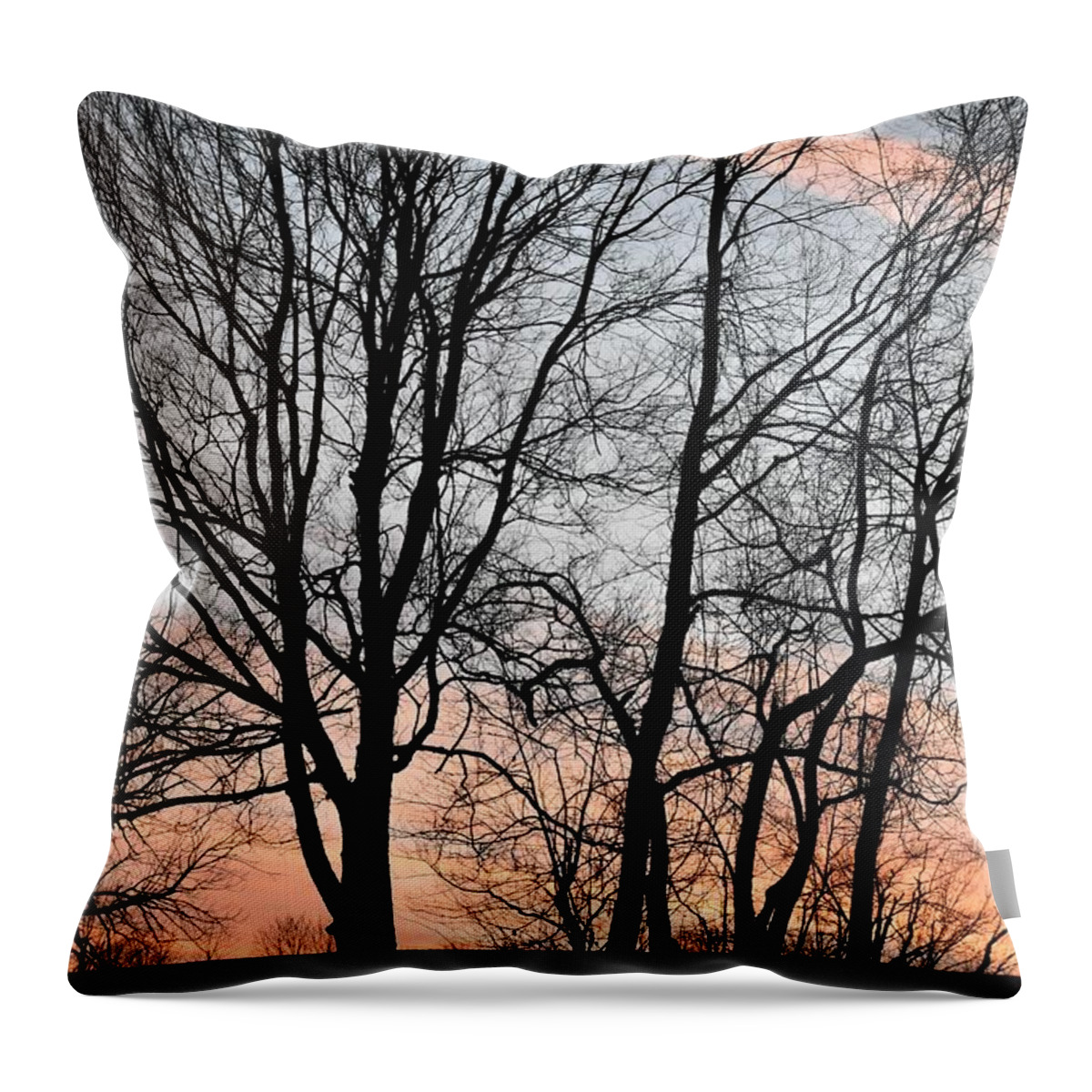 Trees Throw Pillow featuring the photograph Pink Sky by Cassidy Marshall