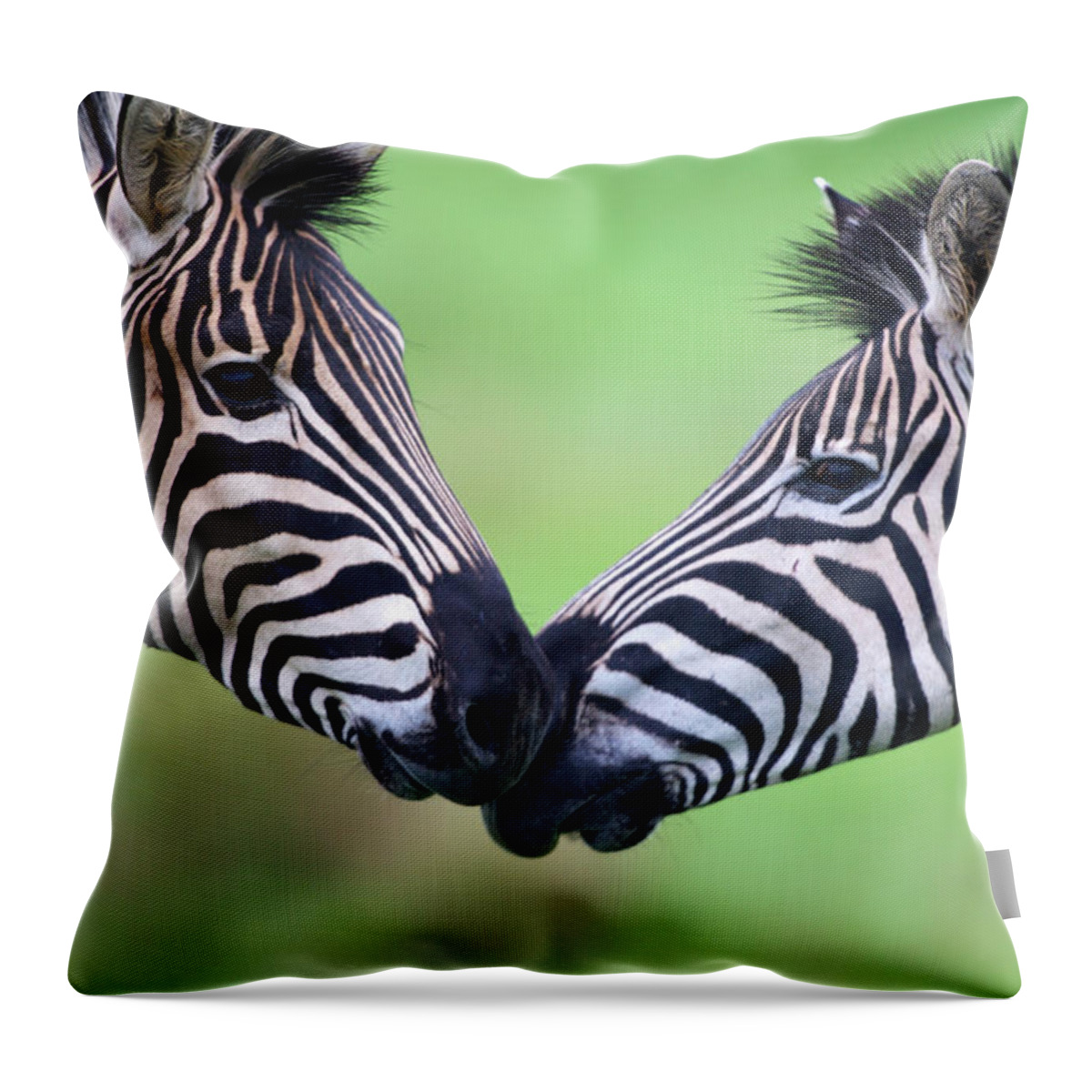 Plains Zebra Throw Pillow featuring the photograph Plains Zebra Equus Quagga Pair by Heinrich Van Den Berg