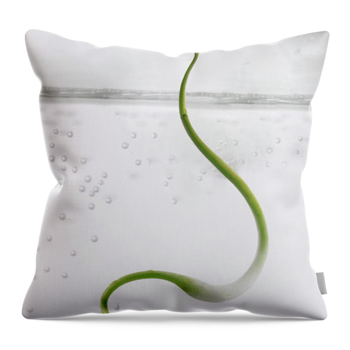 White Background Throw Pillow featuring the photograph Plant Growing In Glass Of Water by Opificio 42