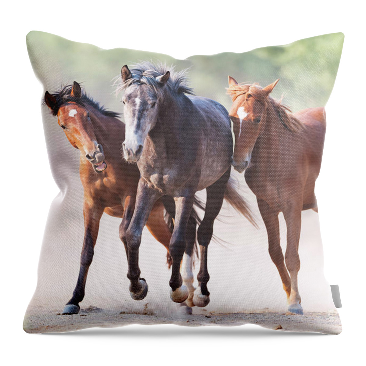 Battle Throw Pillow featuring the photograph Play by Shannon Hastings