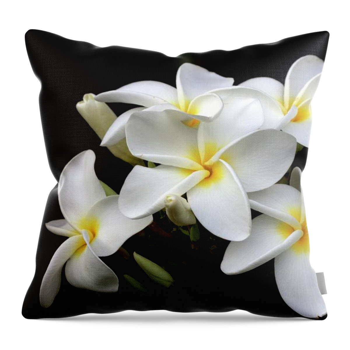 Bud Throw Pillow featuring the photograph Plumeria Flower by Photos By By Deb Alperin