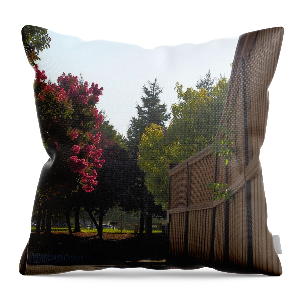 Park Throw Pillow featuring the photograph Pointing Toward Autumn by Richard Thomas