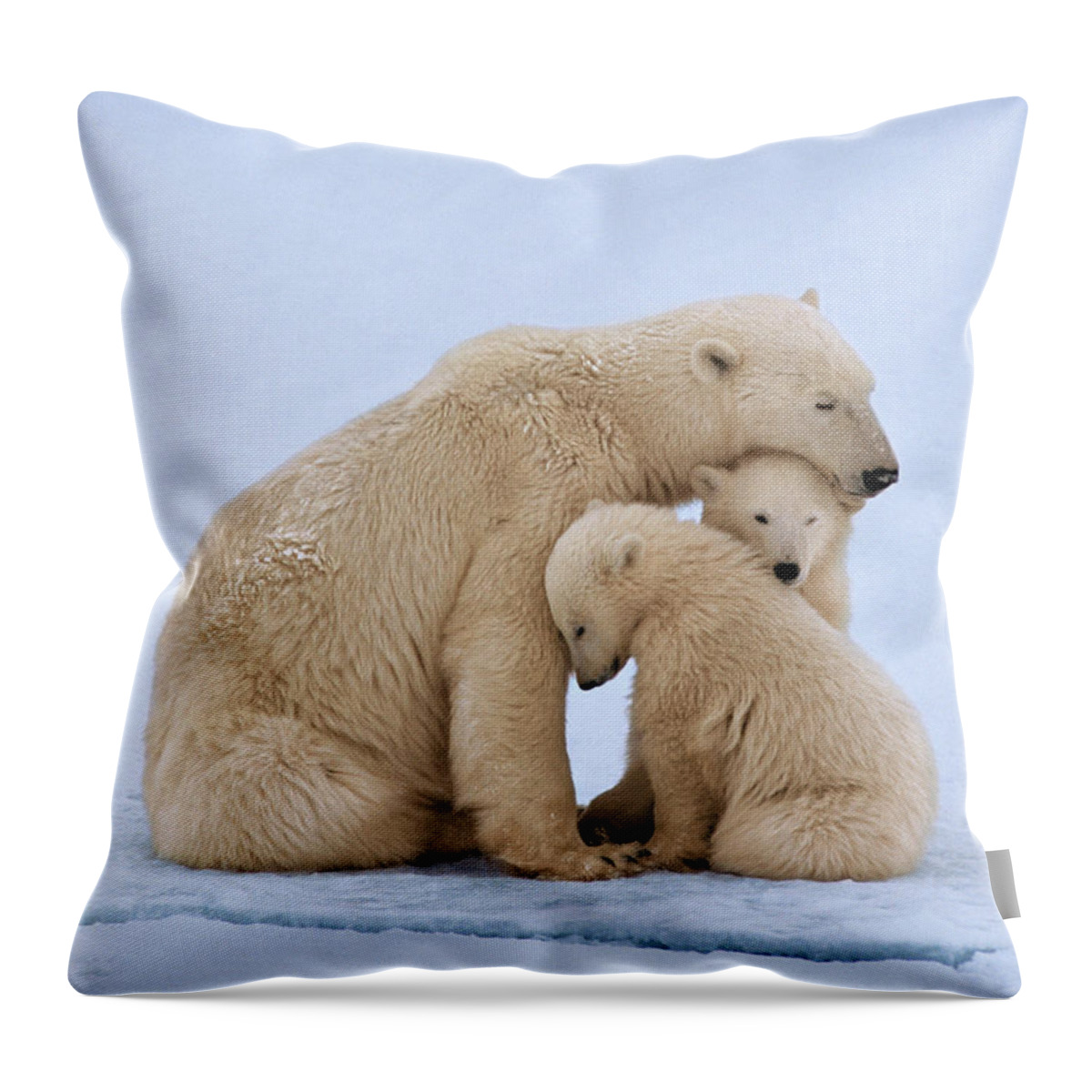 Bear Cub Throw Pillow featuring the photograph Polar Bear With Twin Cubs Ursus by Johnny Johnson