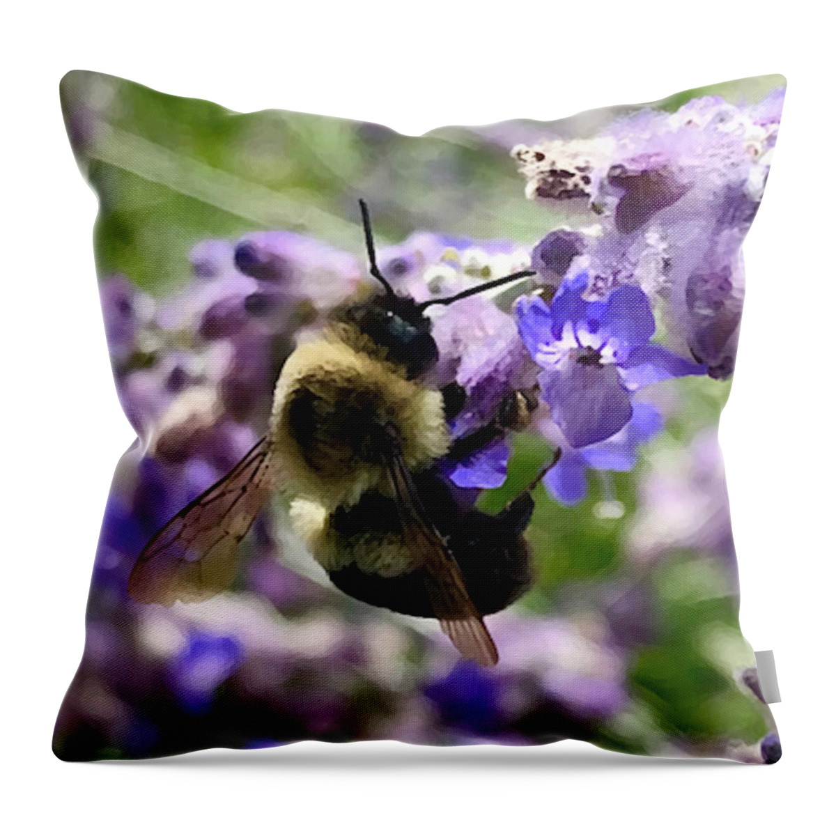 Bumblebee Throw Pillow featuring the photograph Pollinator by Tom Johnson