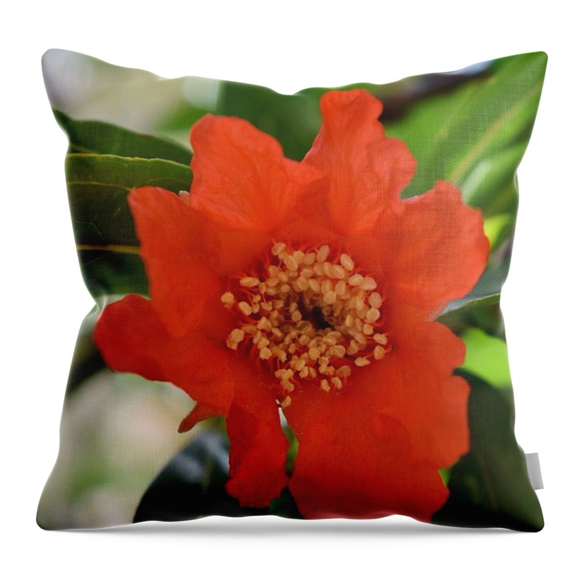 Pomegranate Flower Throw Pillow featuring the photograph Pomegranate Pomp by Janet Marie