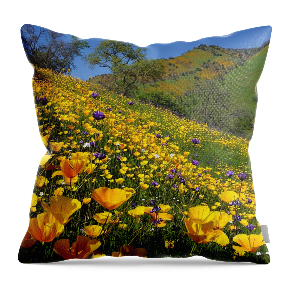 Poppies Throw Pillow featuring the photograph Poppies Sierra Foothills by Brett Harvey