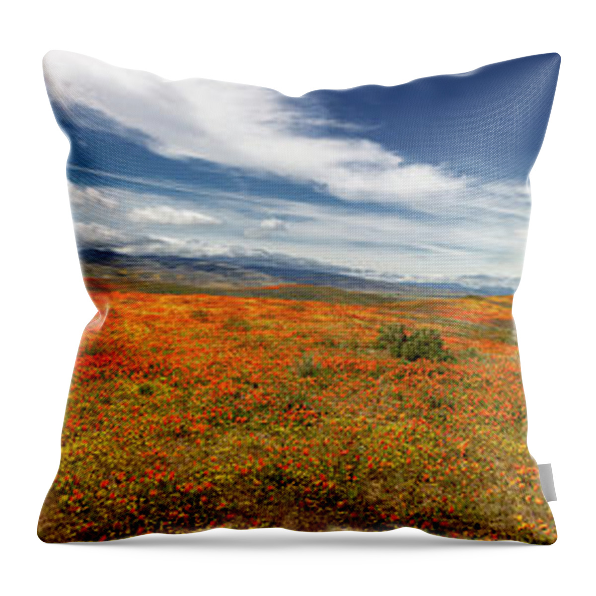 Antelope Valley Poppy Reserve Throw Pillow featuring the photograph Poppy Reserve Panorama 2 by Endre Balogh