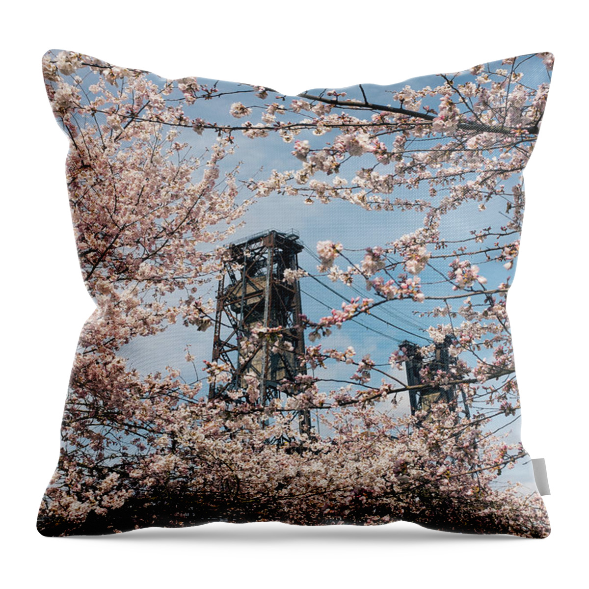 Portland Throw Pillow featuring the photograph Portland Cherry Blossoms by Nicole Young