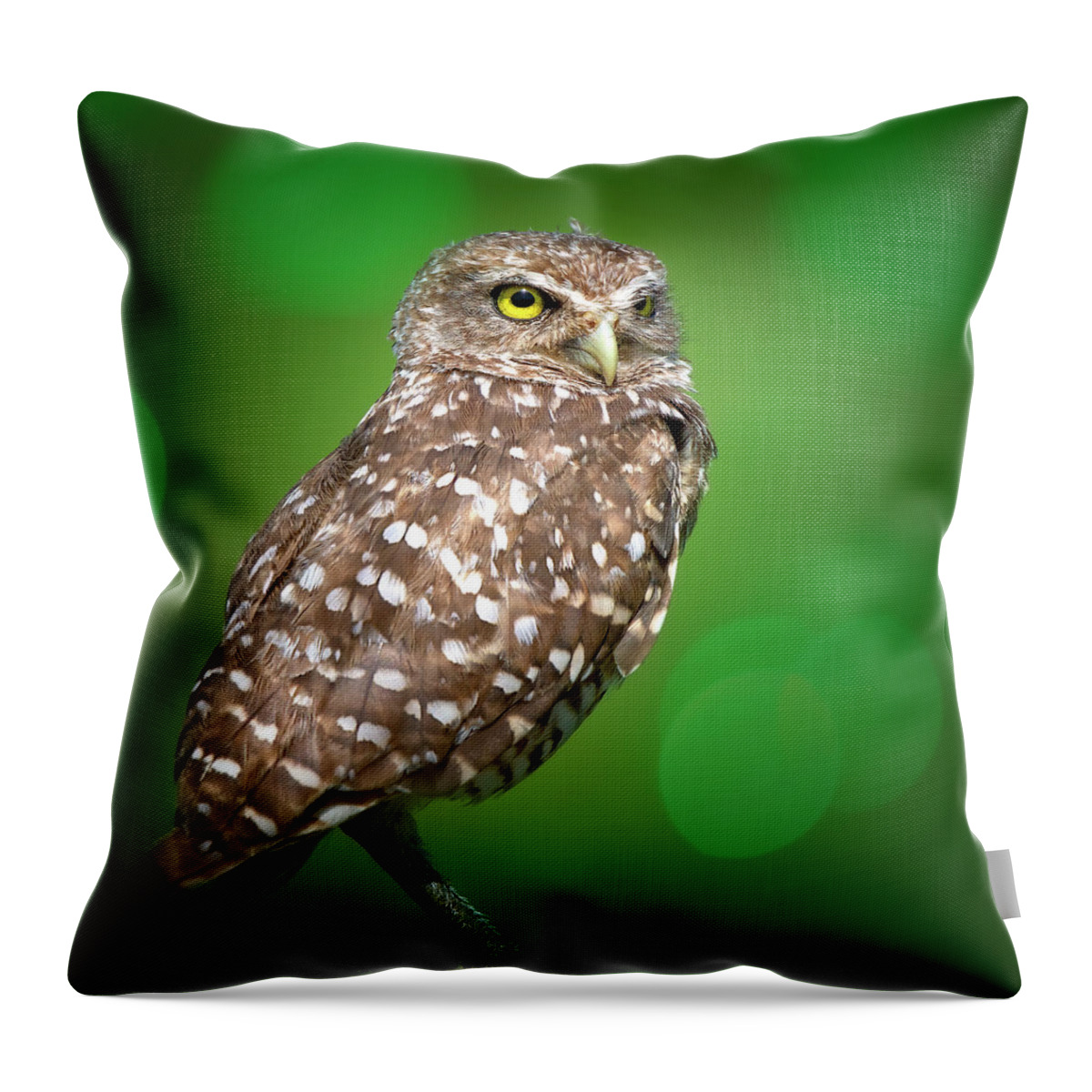 Owl Throw Pillow featuring the photograph Portrait of a Burrowing Owl by Mark Andrew Thomas