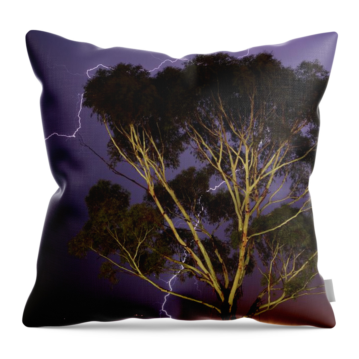 Scenics Throw Pillow featuring the photograph Portrait Of Lightning Striking Around by Neil Overy