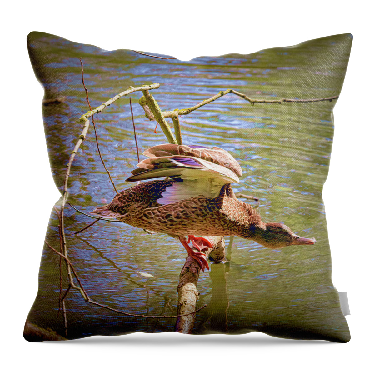Posing Model Throw Pillow featuring the photograph Posing Model #i0 by Leif Sohlman