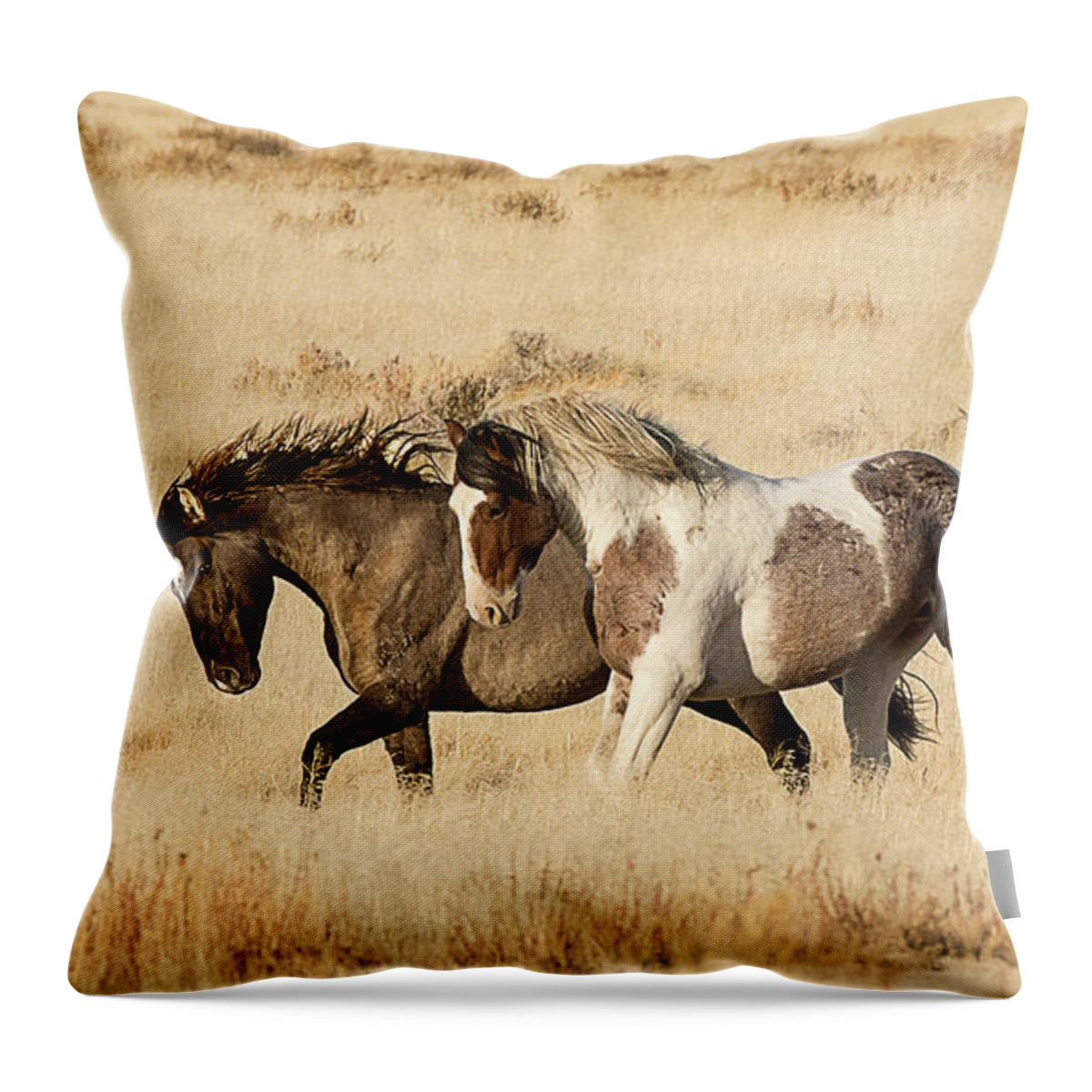 Mammal Throw Pillow featuring the photograph Posturing at Dawn by Dennis Hammer