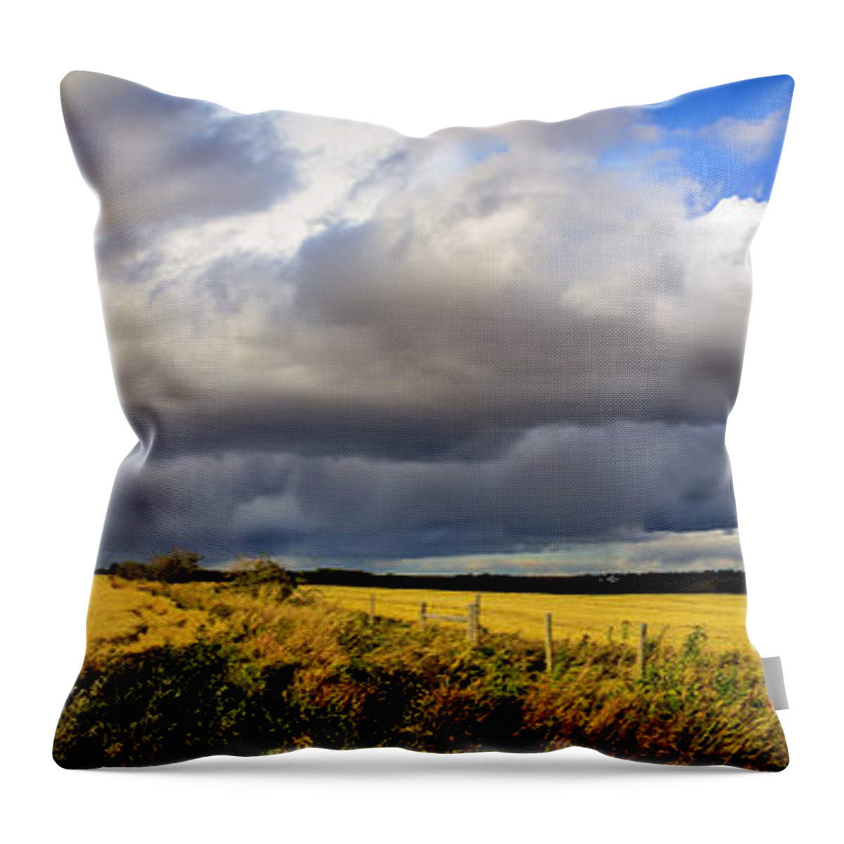 Rural Throw Pillow featuring the photograph Prairie Thunderstorm by Phil And Karen Rispin