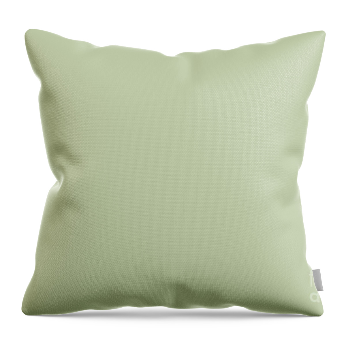 Green Throw Pillow featuring the digital art Pratt and Lambert 2019 Mellon Green - Sage Green 18-28 Solid Color by PIPA Fine Art - Simply Solid