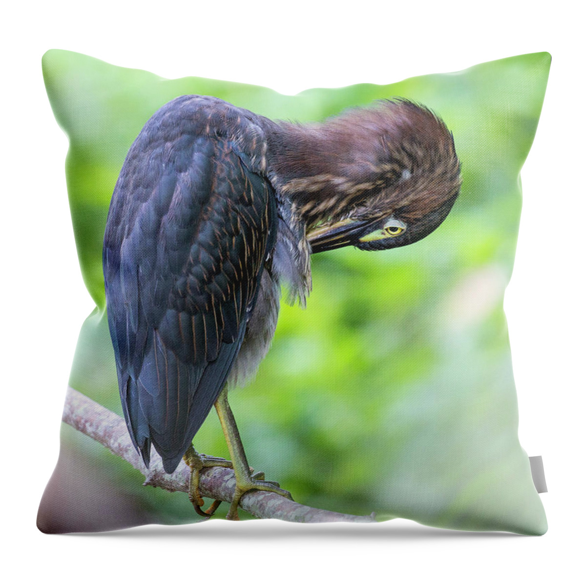 Heron Throw Pillow featuring the photograph Preening by Alan Raasch