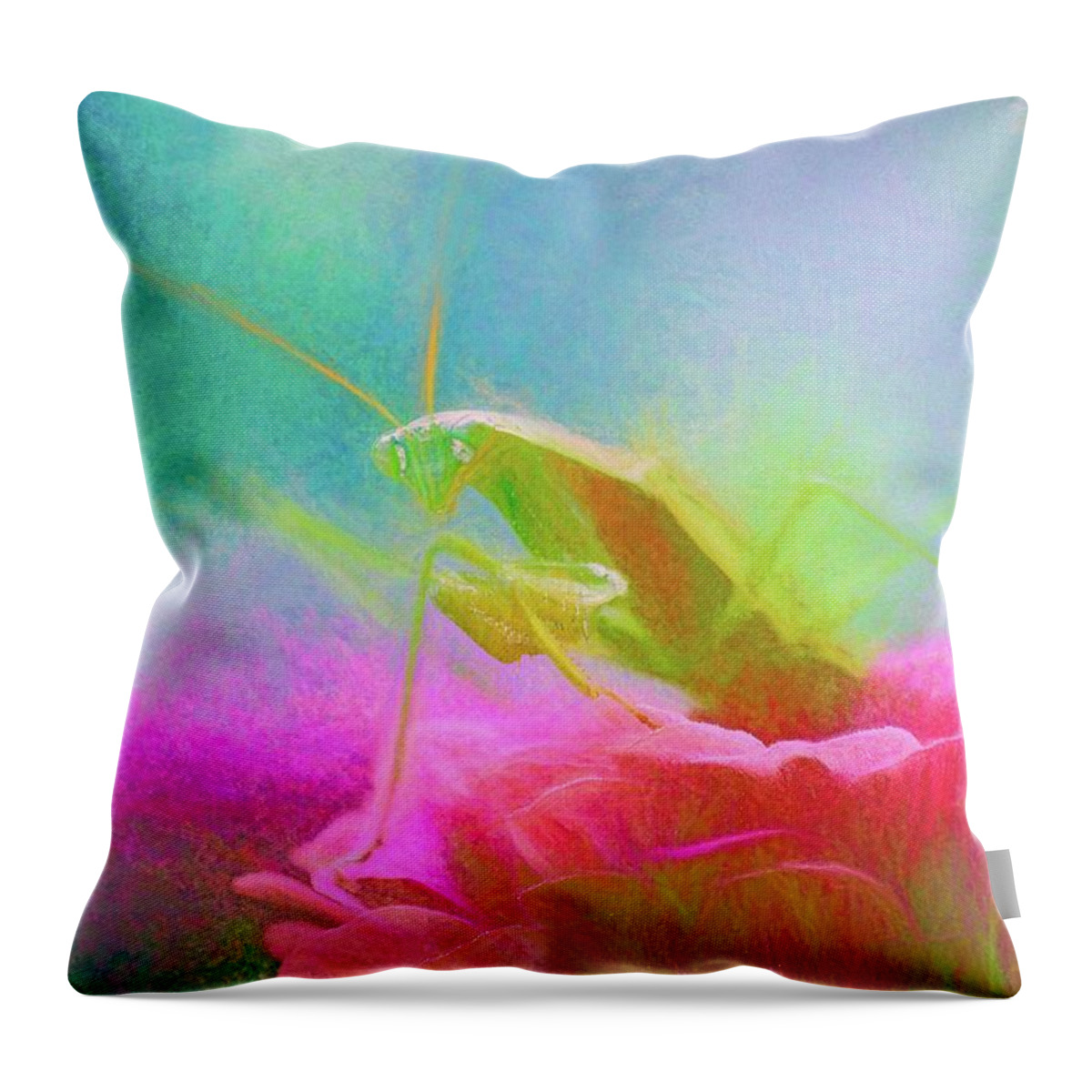 Mantis Throw Pillow featuring the photograph Preying Mantis Chalk Smudge by Don Northup