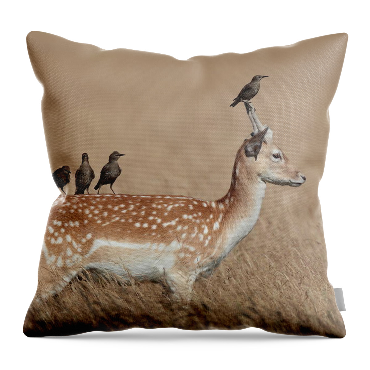 Songbird Throw Pillow featuring the photograph Pricket Picket by Hammerchewer (g C Russell)