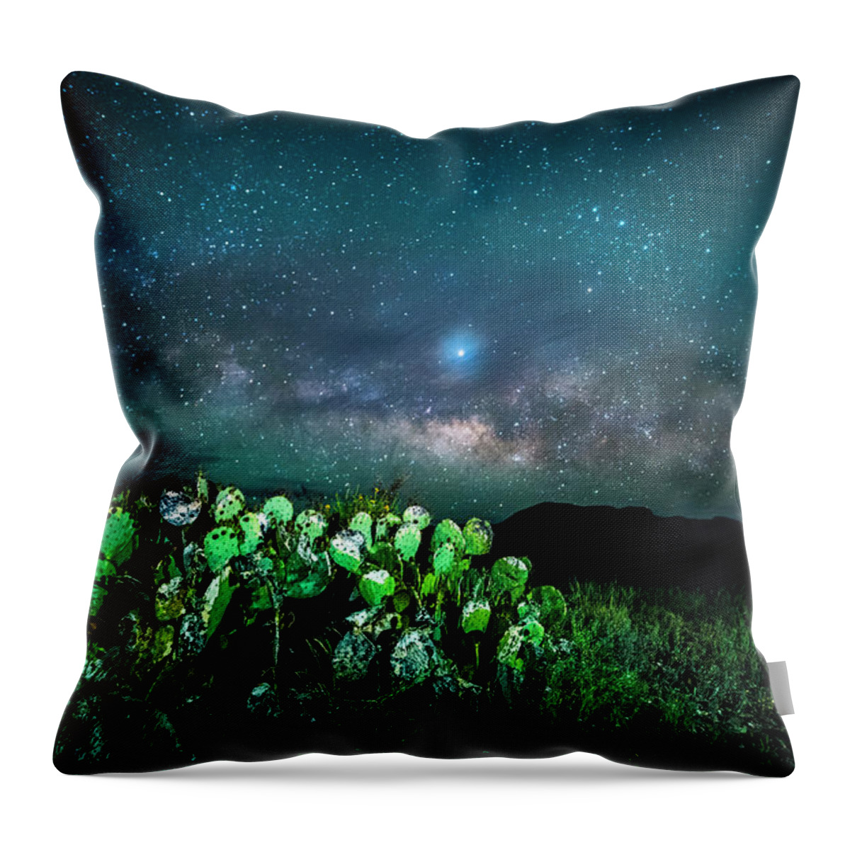Big Bend Throw Pillow featuring the photograph Prickly Pear Beneath the Milky Way by David Morefield