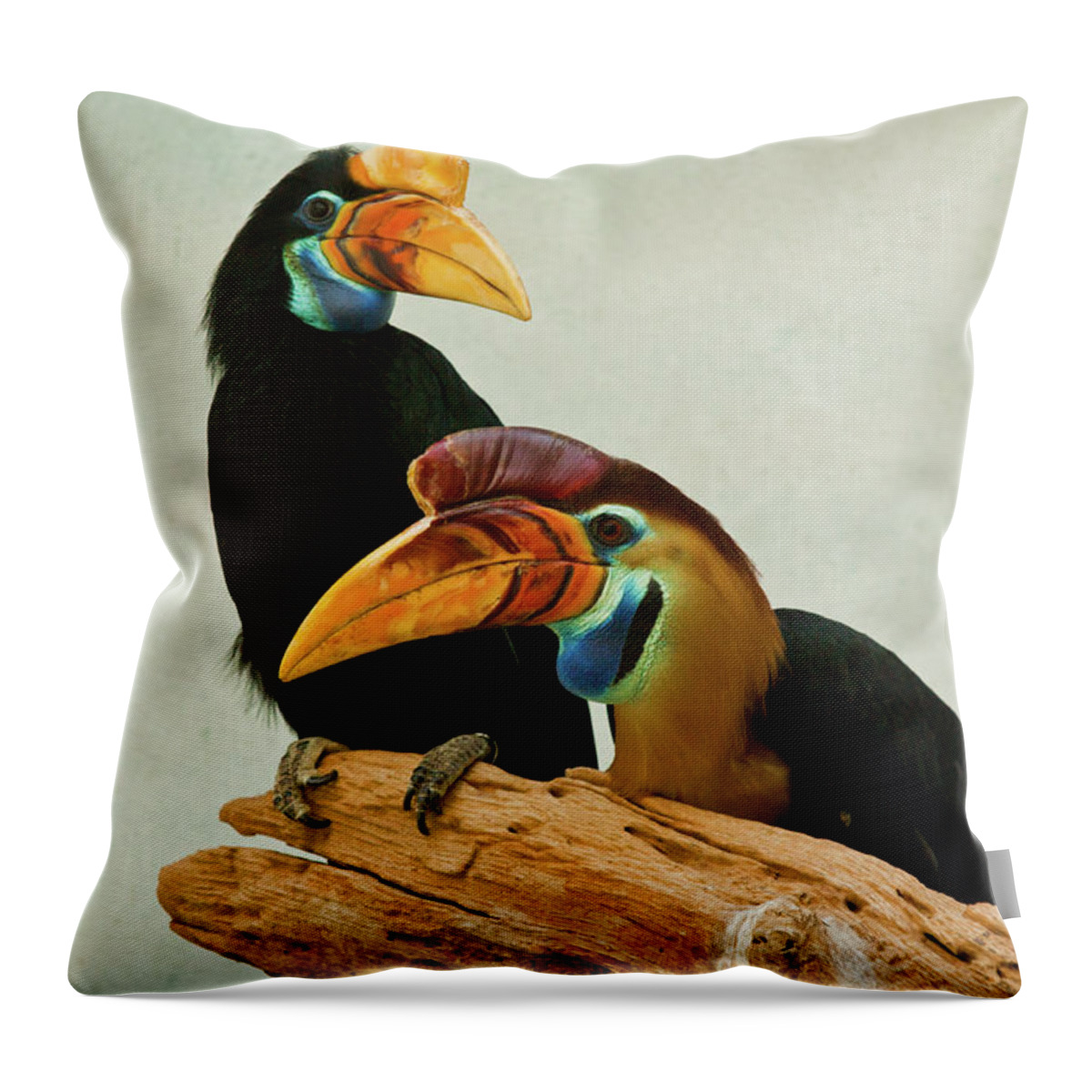 Animal Themes Throw Pillow featuring the photograph Prism by Wassim Samara