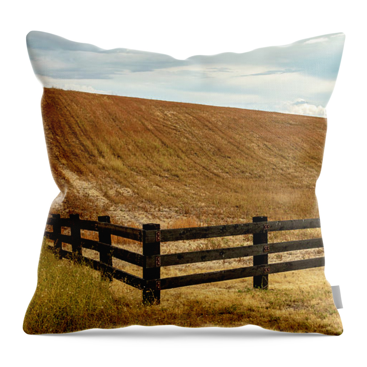 Landscapes Throw Pillow featuring the photograph Property Lines by Claude Dalley
