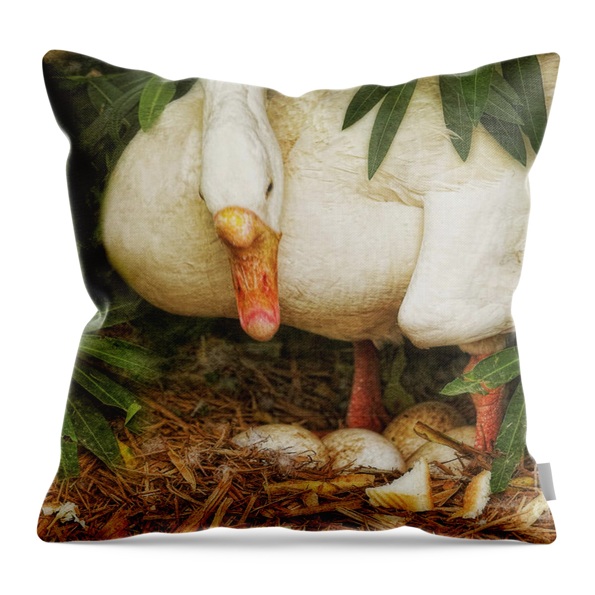 Goose Throw Pillow featuring the photograph Protecting the Nest by Joan Bertucci