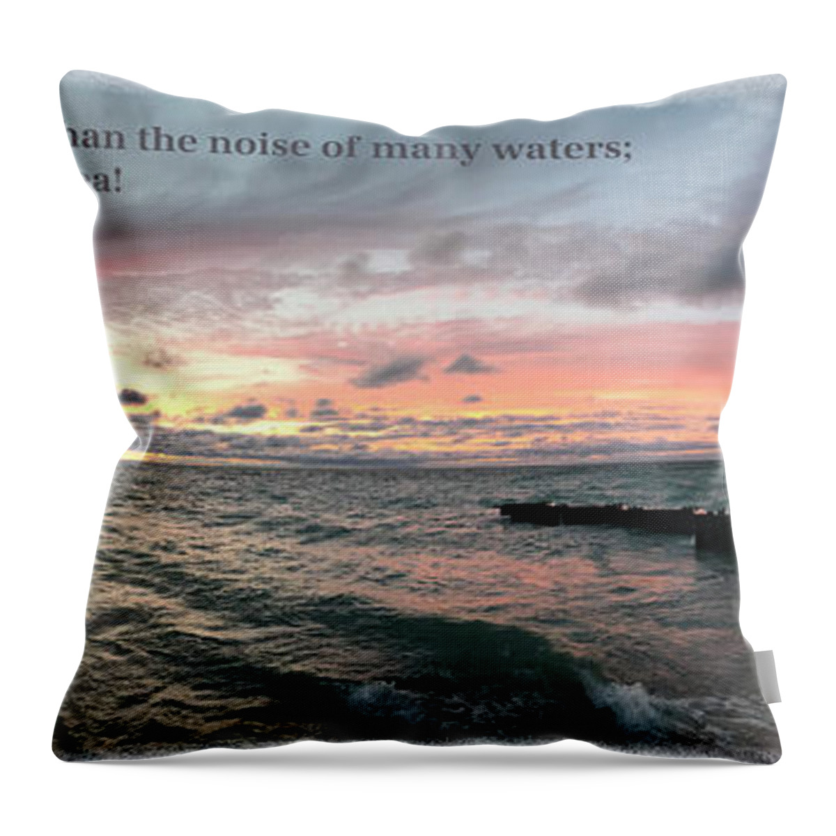  Throw Pillow featuring the photograph Psalm93 4 by Lori Tondini