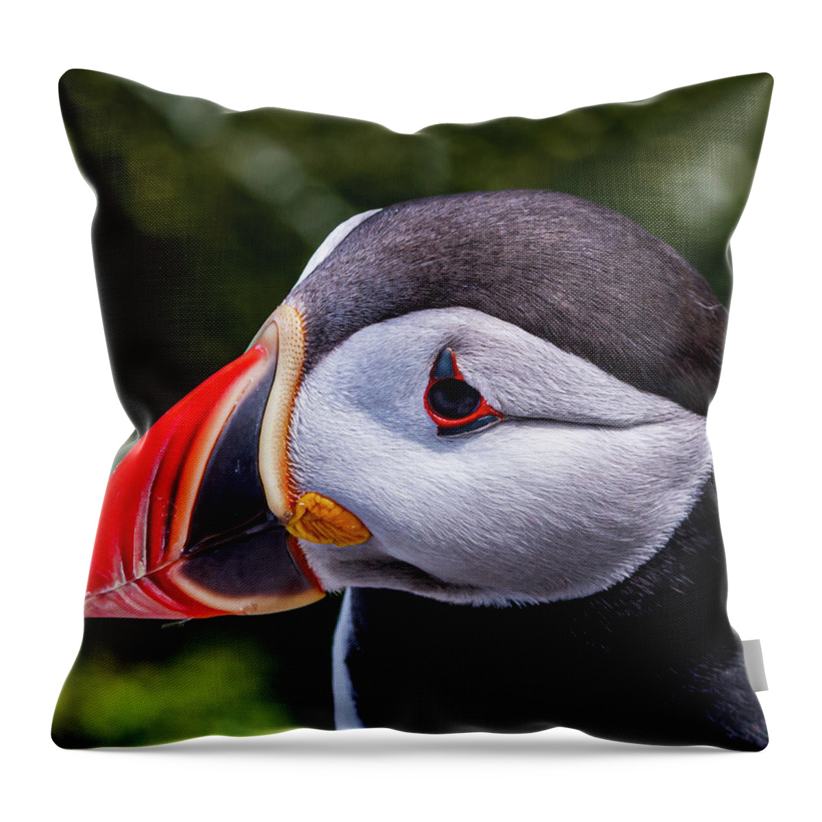 Puffins Throw Pillow featuring the photograph Puffin Profile by Scene by Dewey
