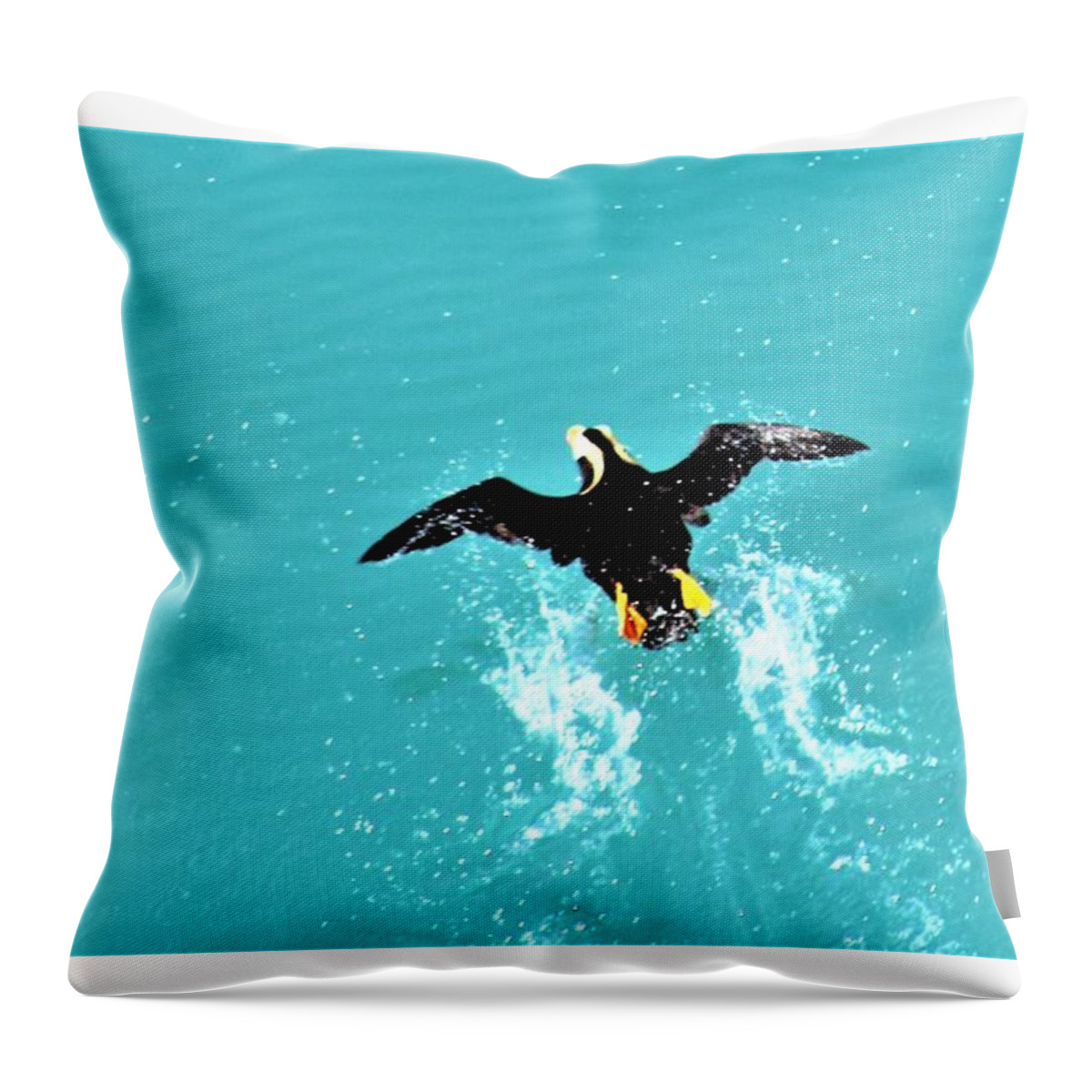 Puffin Throw Pillow featuring the photograph Puffin Takeoff by FD Graham