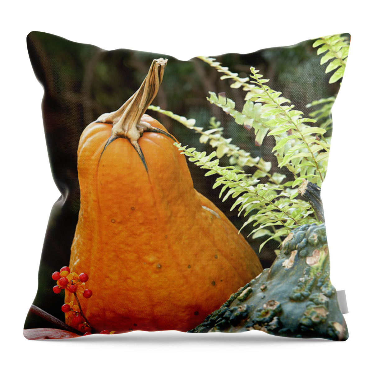 Garden Throw Pillow featuring the photograph Pumpkin power by Garden Gate magazine