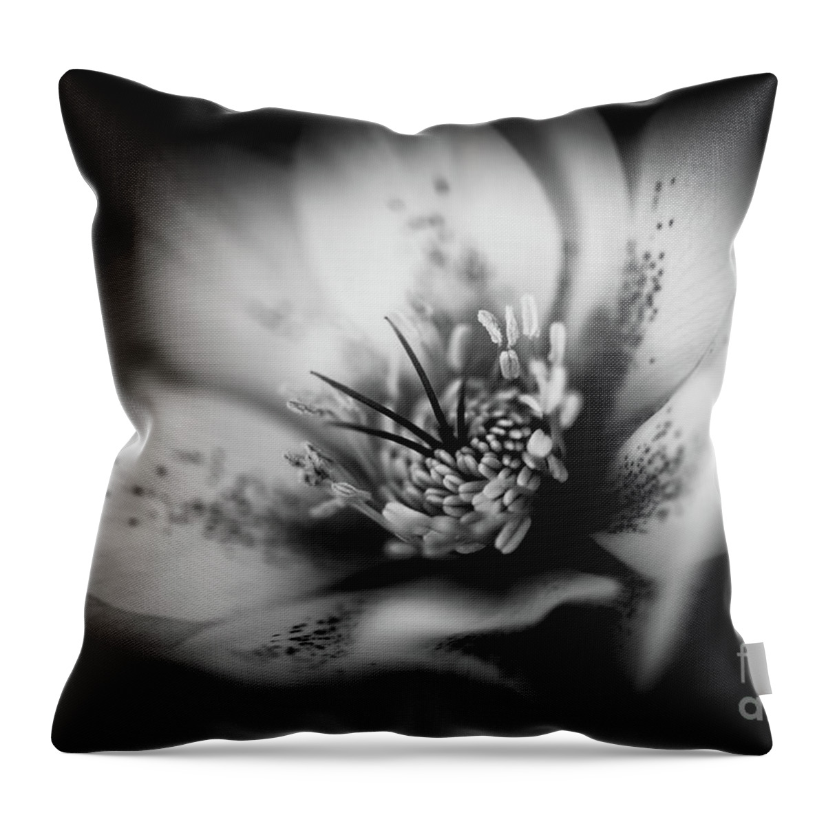 Botanical Throw Pillow featuring the photograph Pure Beauty by Venetta Archer