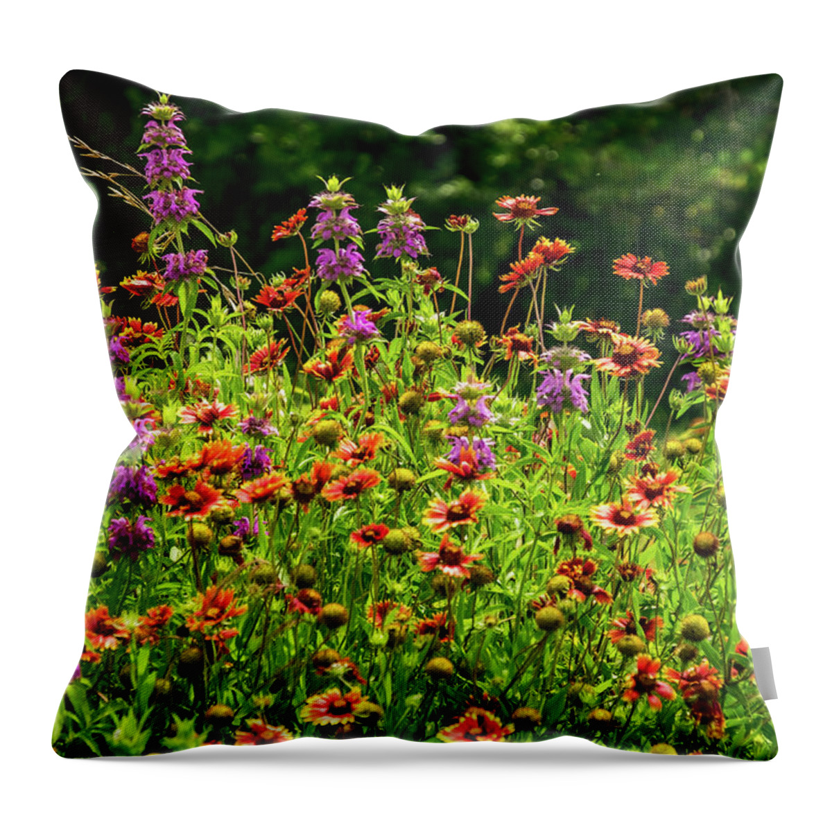 Texas Wildflowers Throw Pillow featuring the photograph Purple Fire by Johnny Boyd
