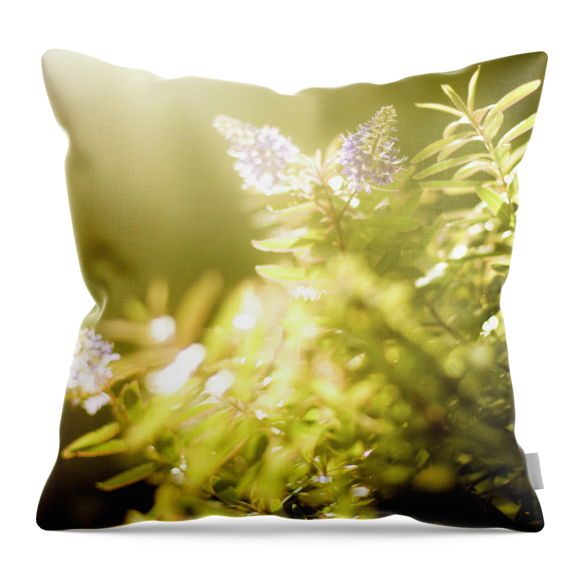Purple Throw Pillow featuring the photograph Purple Flowers by (c) Harold Lloyd