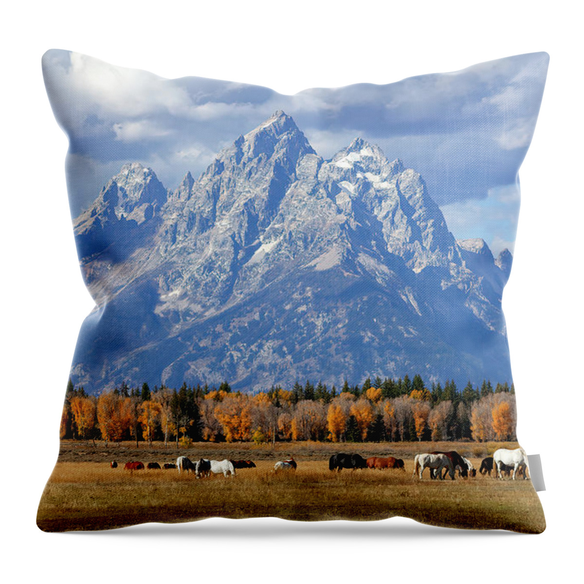 Grand Teton National Park Throw Pillow featuring the photograph Purple Mountains Majesty by Jack Bell