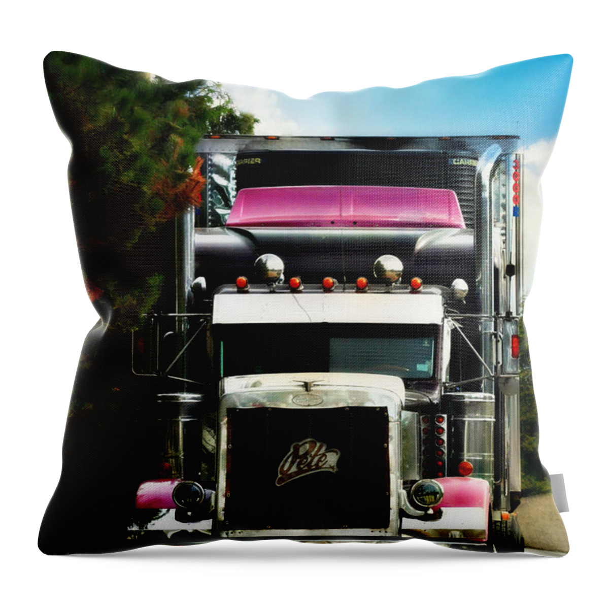 Purple Pete Throw Pillow featuring the photograph Purple Pete by Cyryn Fyrcyd
