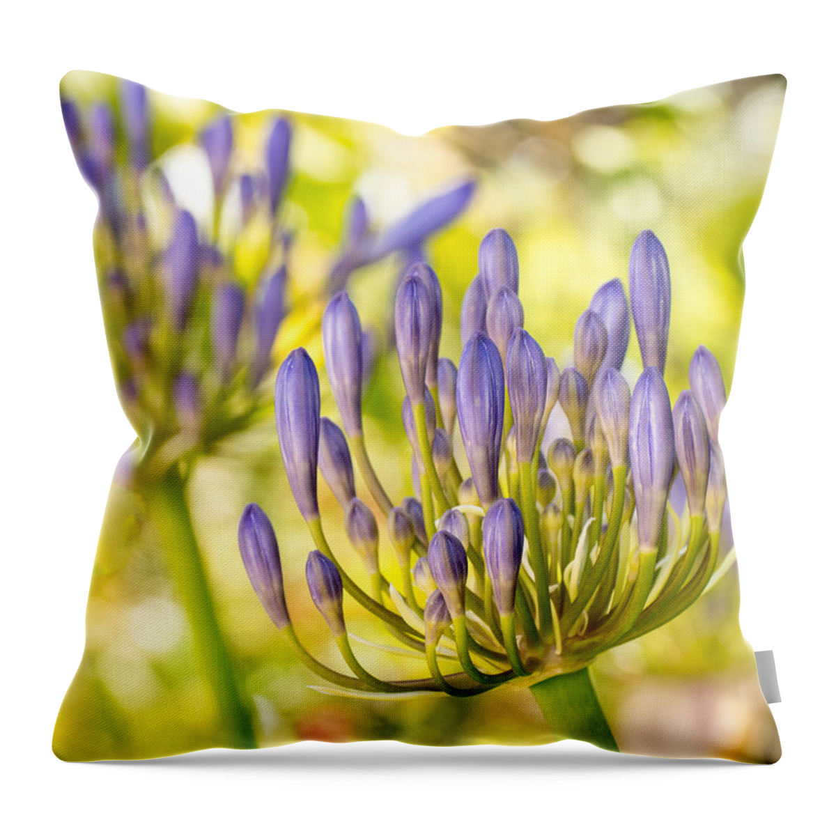 Flowers Throw Pillow featuring the photograph Purple Pods by Derek Dean