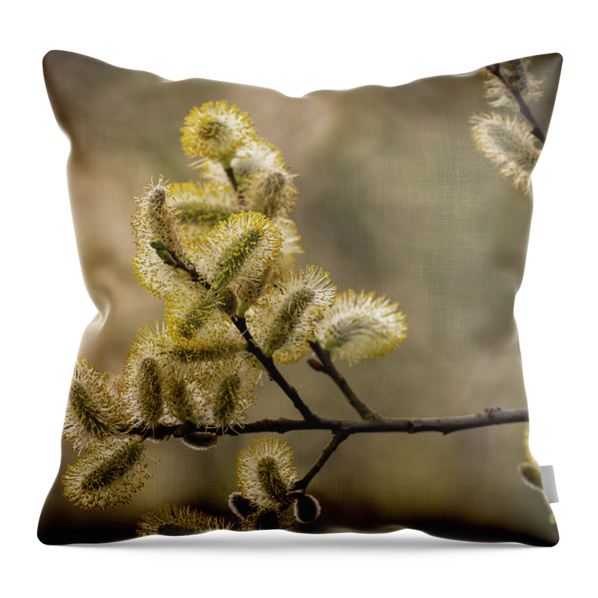 April Throw Pillow featuring the photograph Pussy Willow by Chris Smith