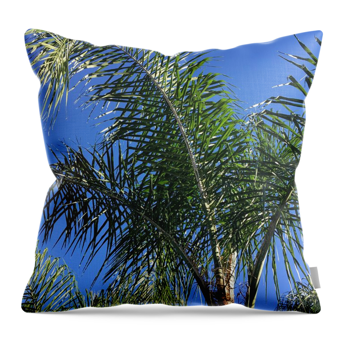 Leaves Throw Pillow featuring the photograph Queen Palm One by Alan Metzger