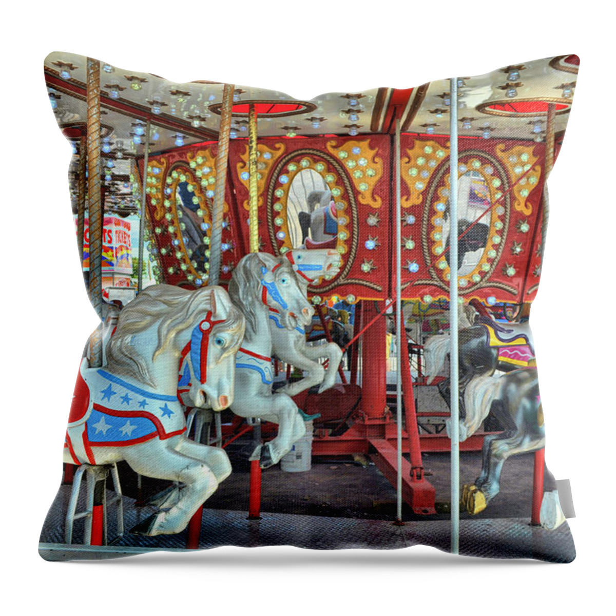 Agriculture Throw Pillow featuring the photograph Quickly Spinning by Dressage Design