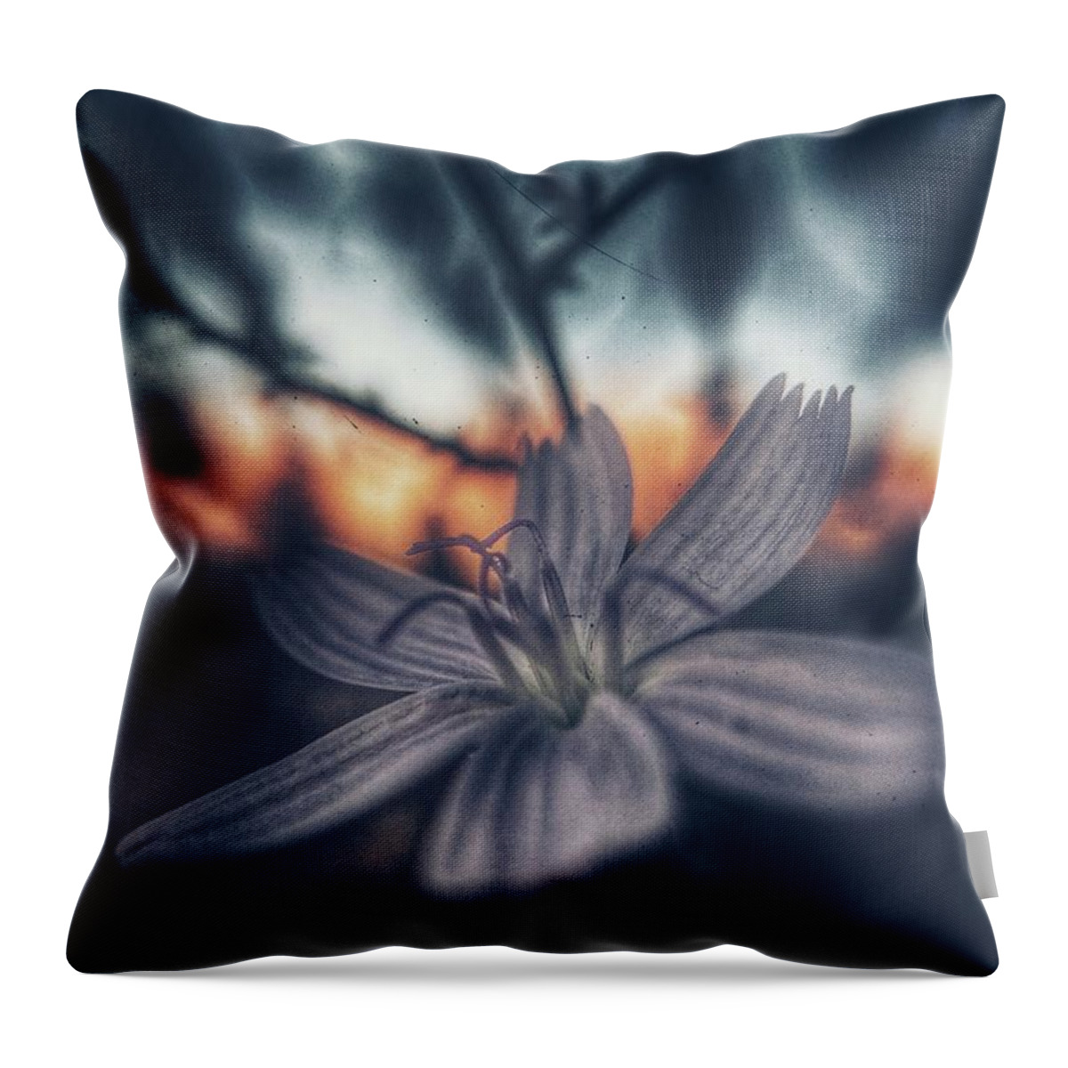 Flower Throw Pillow featuring the photograph Quiet Hour by Mark Ross