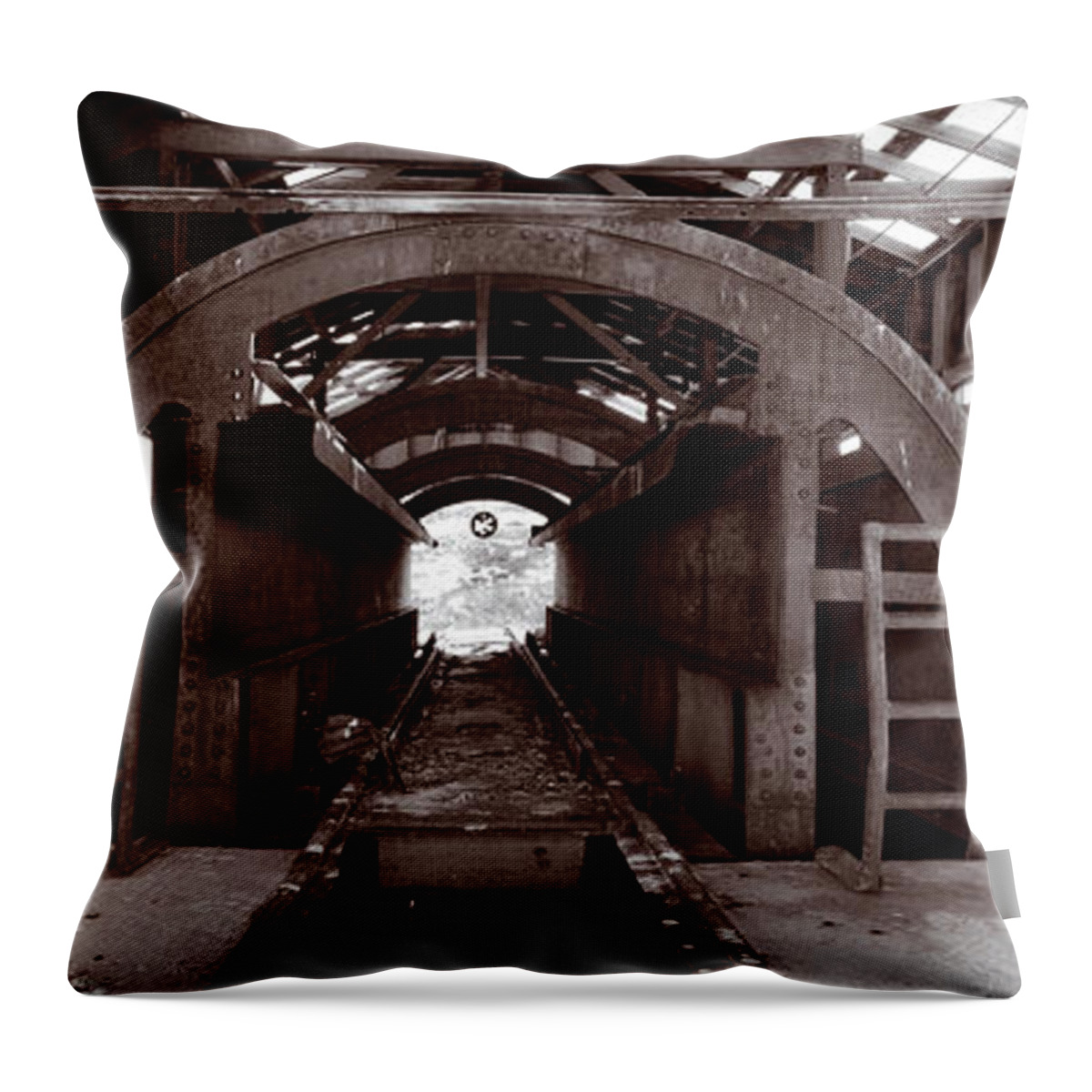 Beautiful Throw Pillow featuring the photograph Railroad Car Inverter 1 Sepia by Roger Snyder