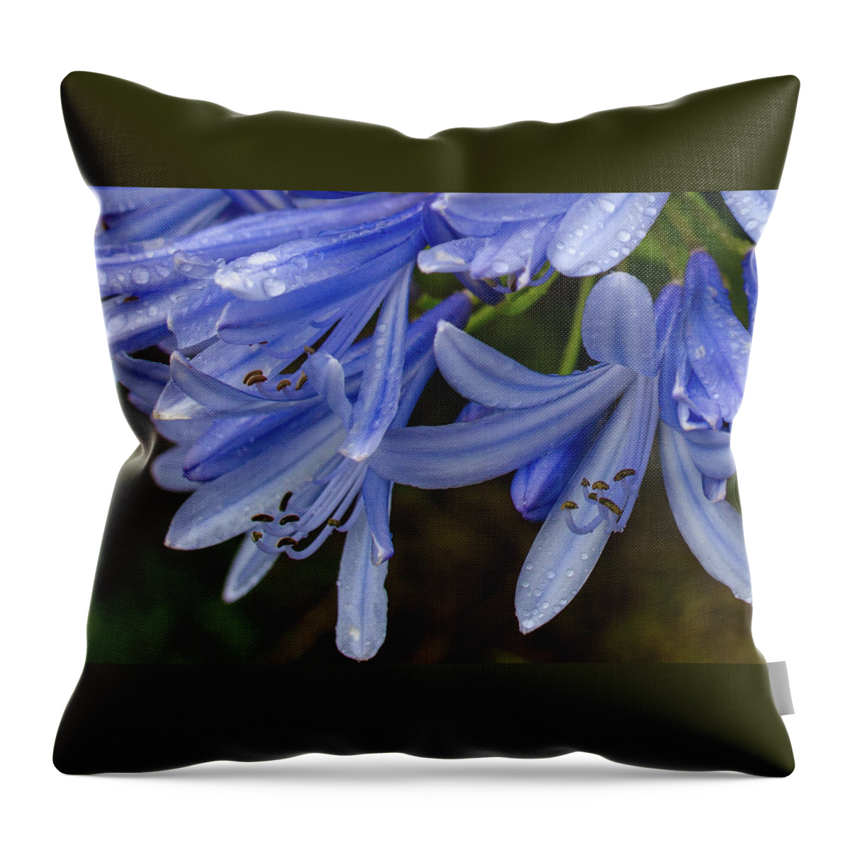 Alii Kula Lavender Farm Throw Pillow featuring the photograph Rain Drops on Blue Flower by Jeff Phillippi