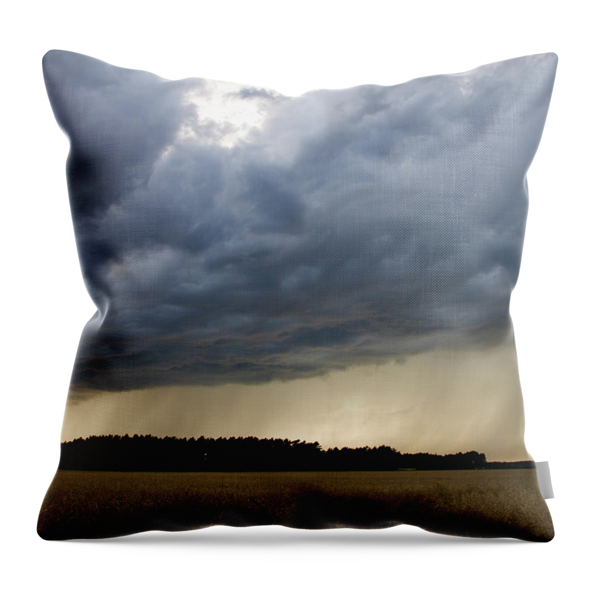 Wind Throw Pillow featuring the photograph Rain Shower by Cschoeps