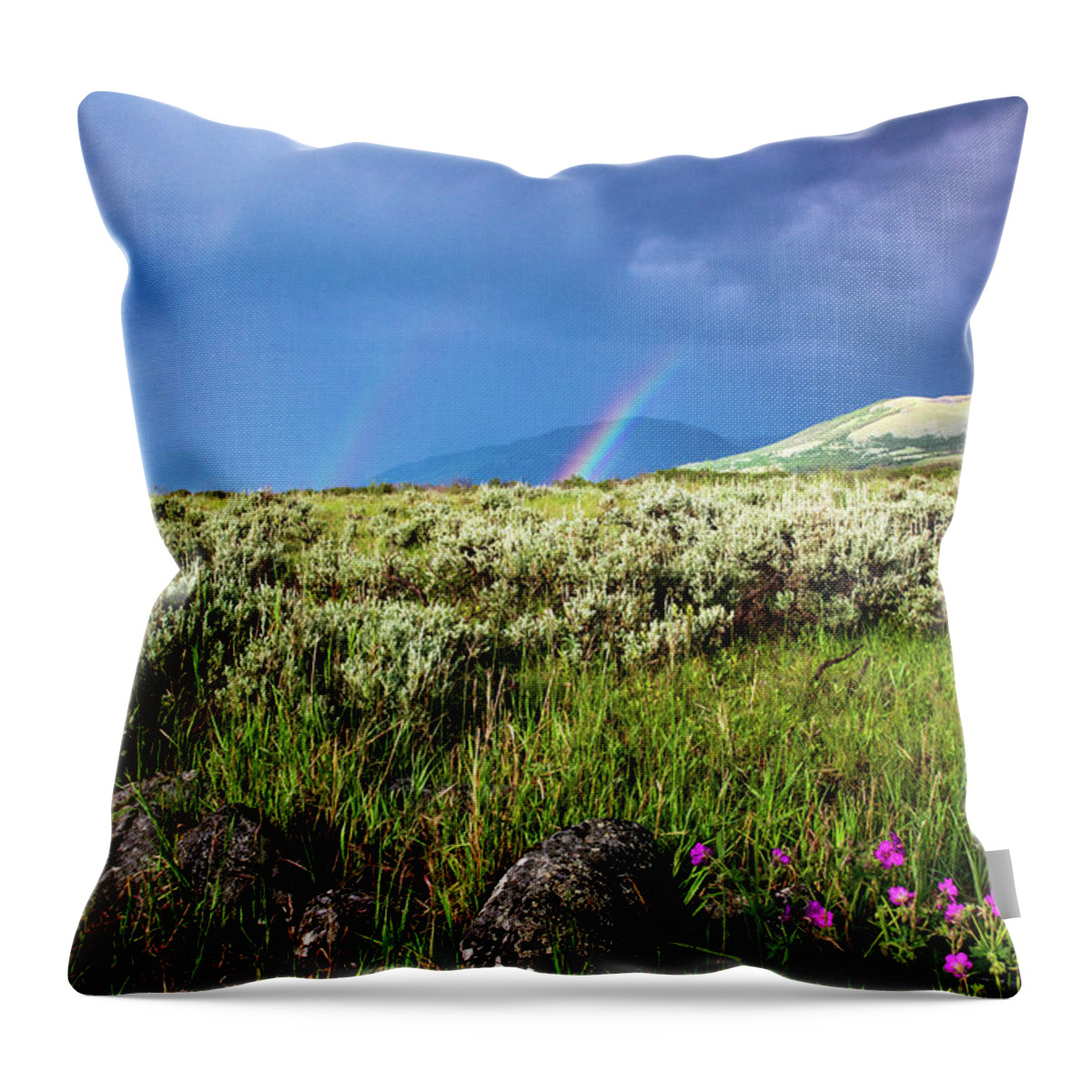 Storm Throw Pillow featuring the photograph Rainbow over Tom Miner Basin by Douglas Wielfaert